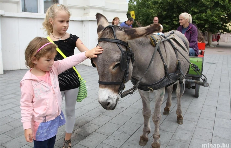 Családi programok a Szent István téren