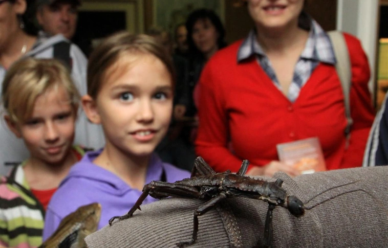 ÉjszakáZoo a Miskolci Állatkert és Kultúrparkban