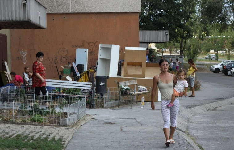 Fészekrakók a Középszeren