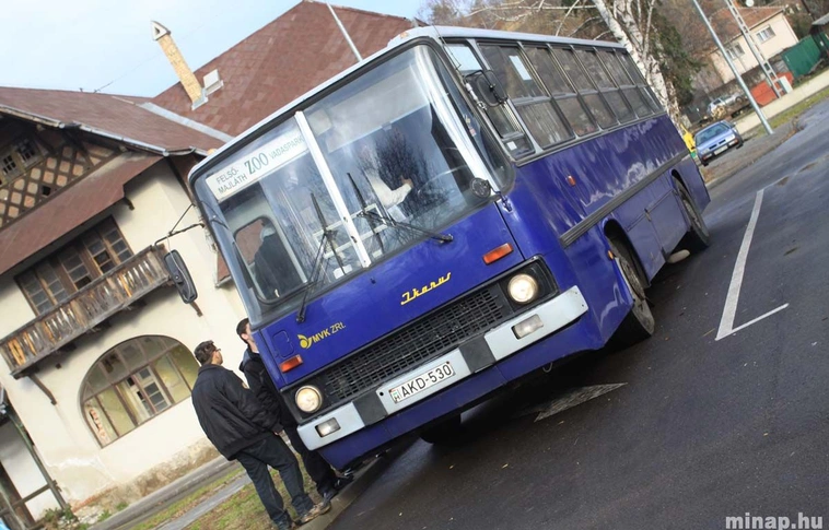 "Fotó-busz" Ikarus a ZOO vonalon