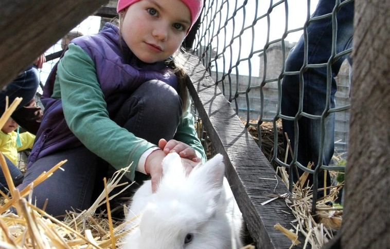 Húsvéti sokadalom a Diósgyőri Várban