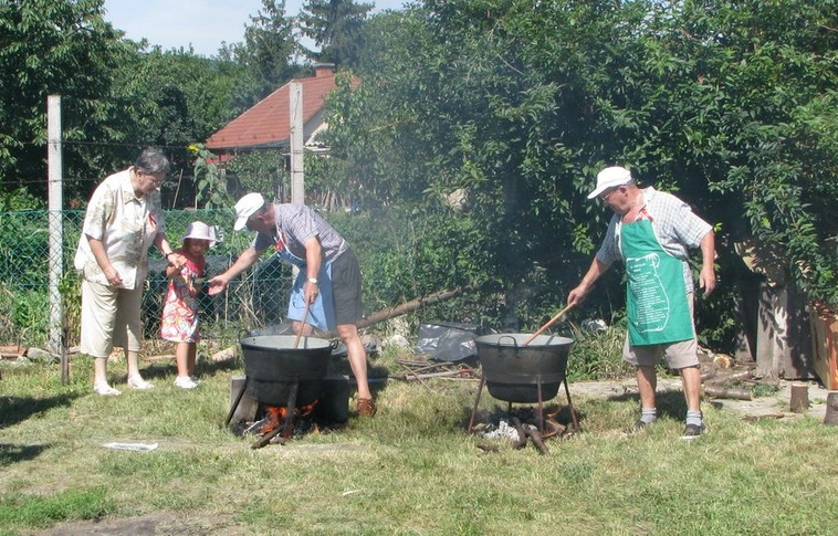 Kerti Parti az idősügyi ellátottaknak