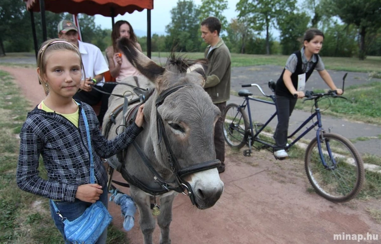 Avasi mobilitási nap