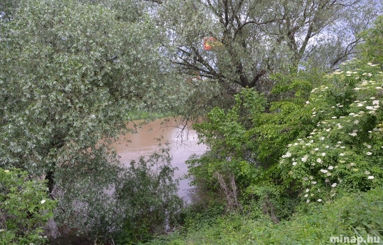 Sajó