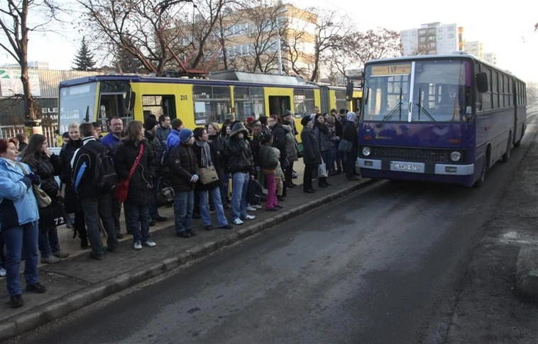 Zöld Nyíl: Thököly utcai átszálló megálló
