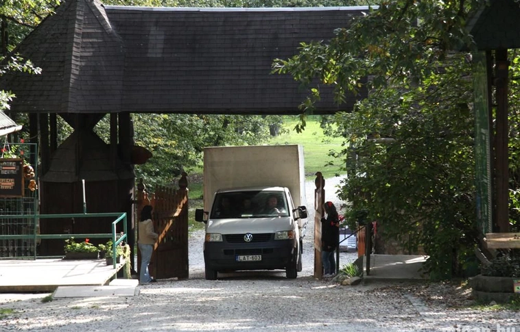Megérkeztek a medvebocsok az állatkertbe