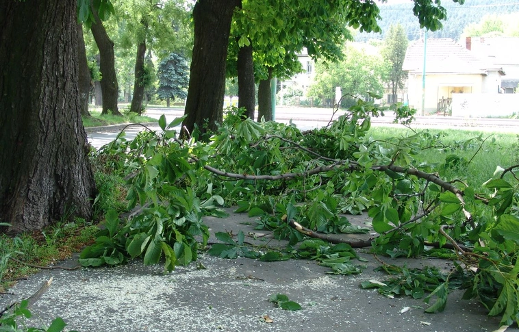 Viharkárok Miskolcon