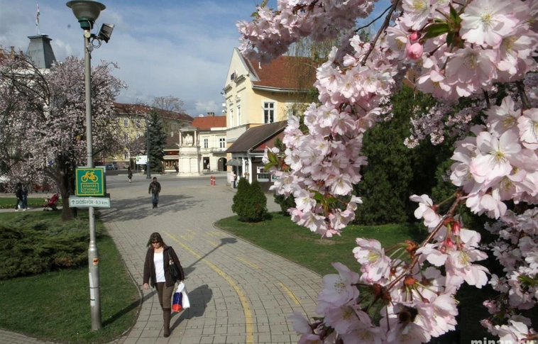 Virágba borult a sétálóutca