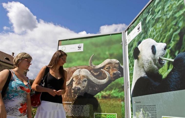 Úton az állatok - a WWF kiállítása
