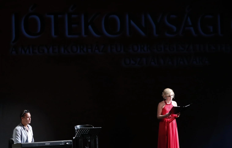 Jótékonysági est a színházban
