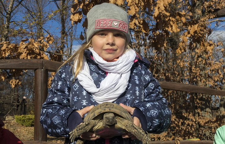 Készülődés a télre – családi nap a Miskolci Állatkertben