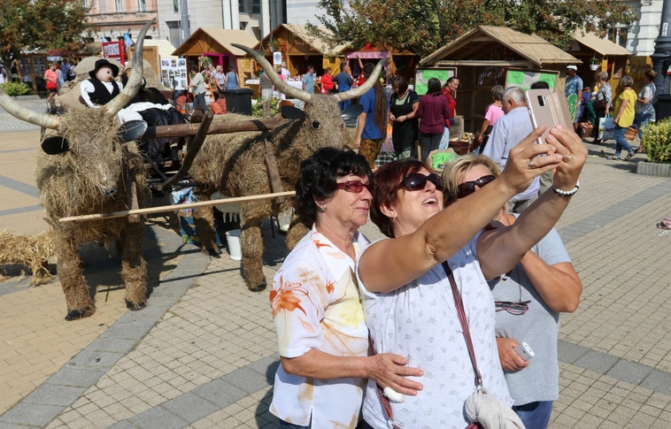 Közfoglalkoztatási Kiállítás és Vásár I.
