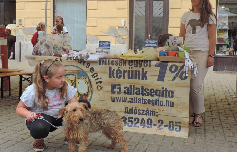 MÁSA a könyvhéten