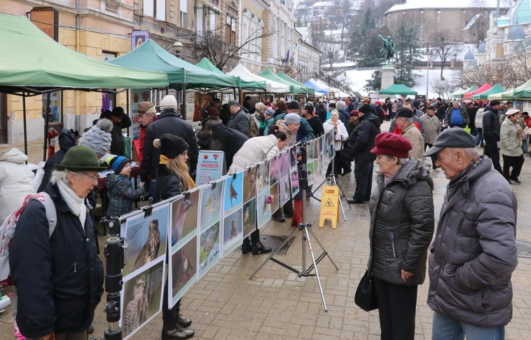 Miskolci Termelői Nap