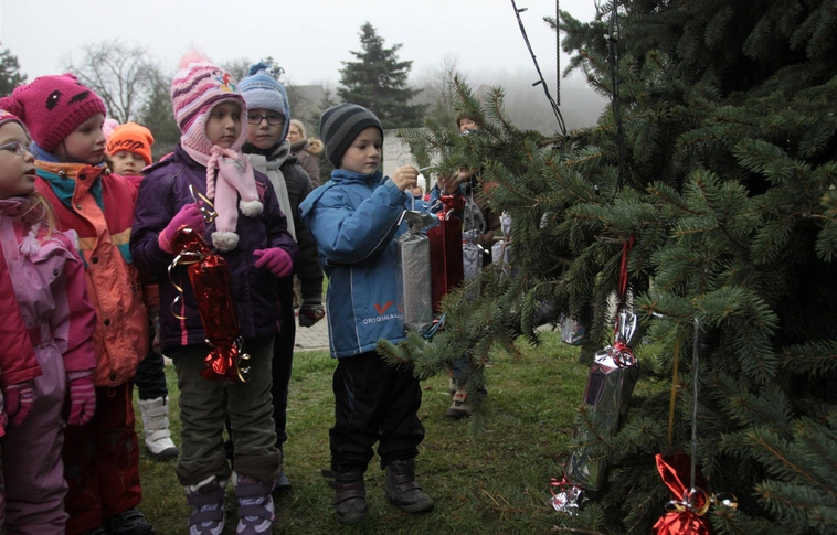 Óvodások díszítették a Szent István tér fáit