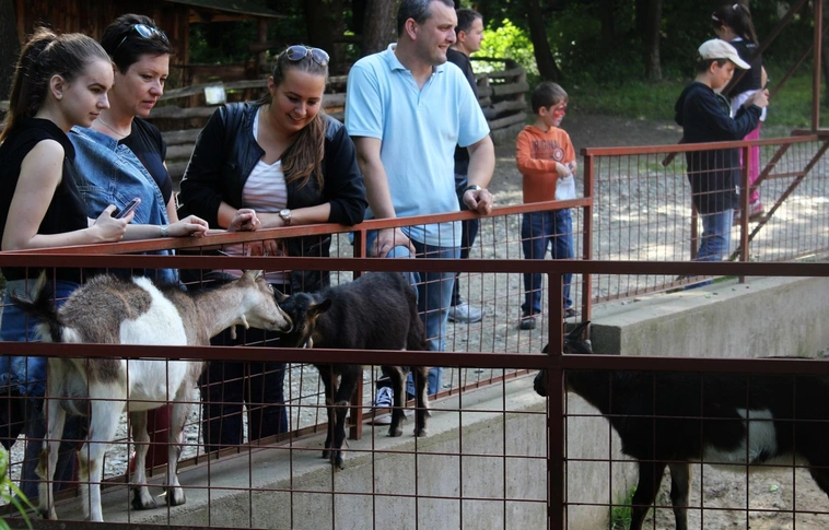 Gyermeknap az Miskolci Állatkertben