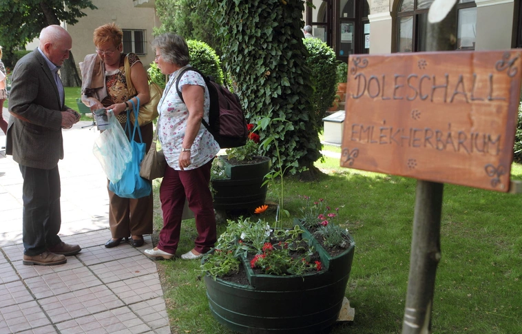 Emlékherbárium a Szabó Lőrinc könyvtár kertjében