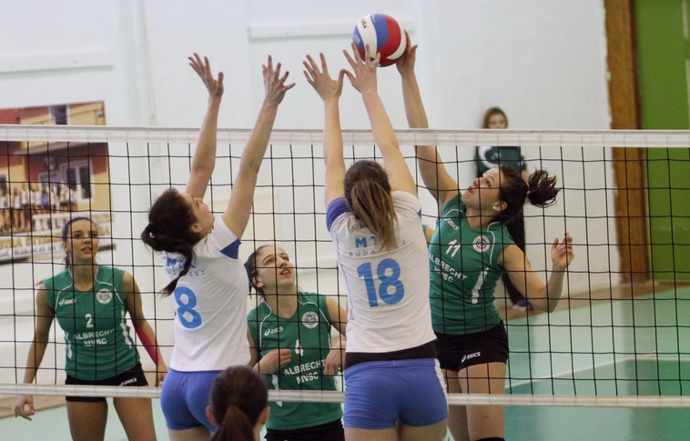  Albrecht-Miskolci VSC-MVSI – MTK Budapes
