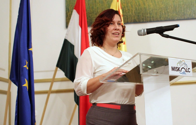 Nemzetiségek napja a városházán