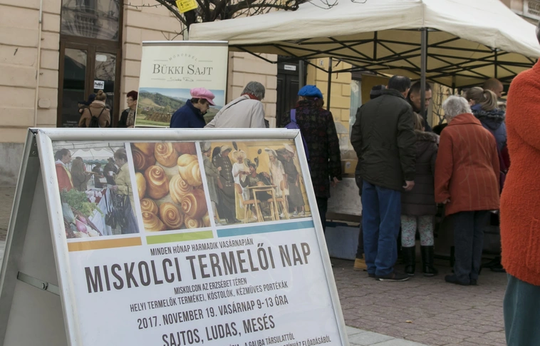 Termelői nap