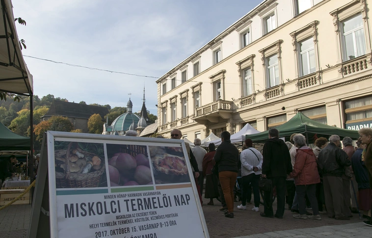 Termelői Nap és Pite páradé
