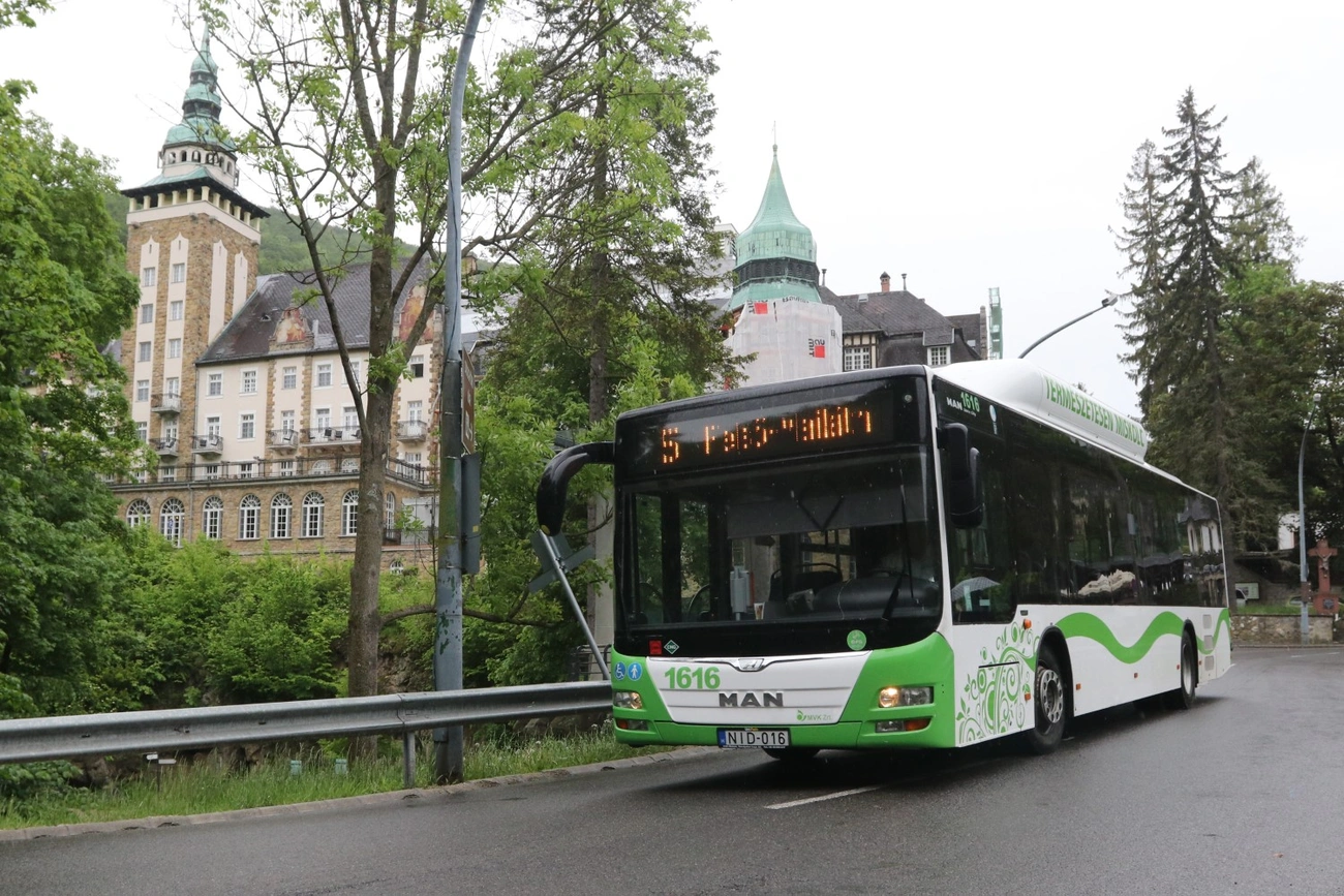 5 ös busz, mvk