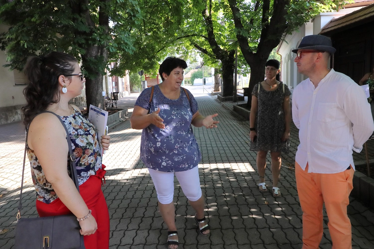 gesztenye_fasor_220803ml-5.jpg 