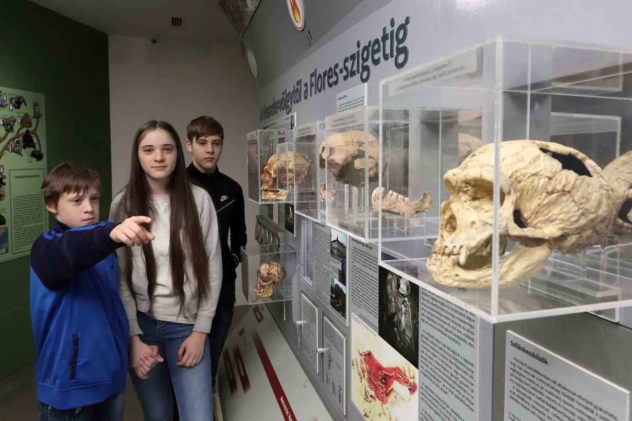 pannon tenger múzeum múzeumi karácsony gyermekvédelmi központ