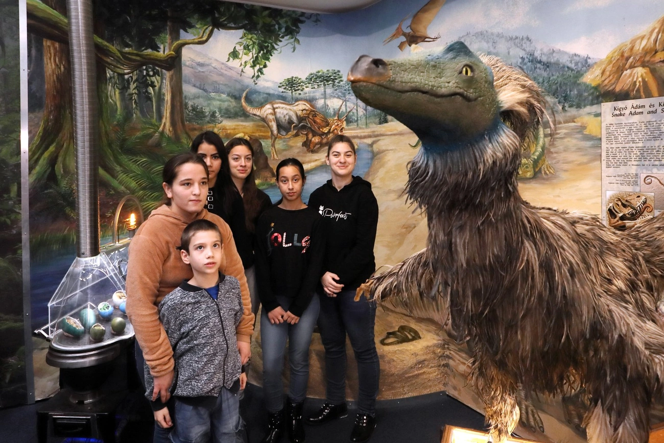 pannon tenger múzeum múzeumi karácsony gyermekvédelmi központ