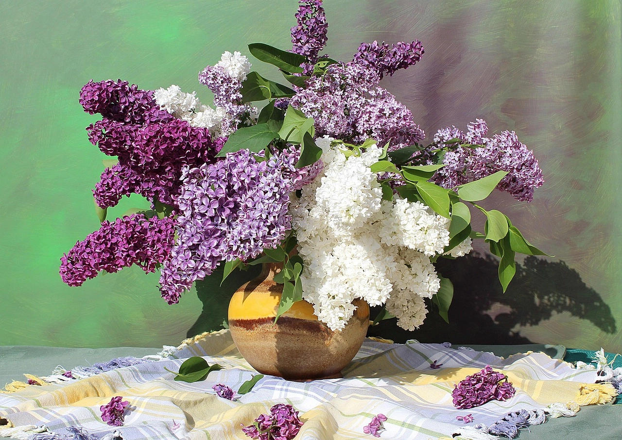 lilac-bouquet-6838246_1280.jpg