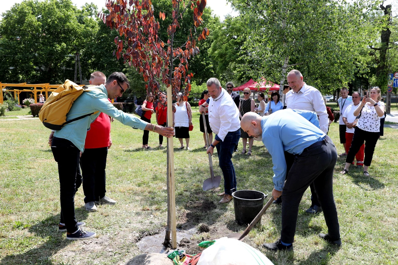 veradok_faja_20250613-ja_04.jpg
