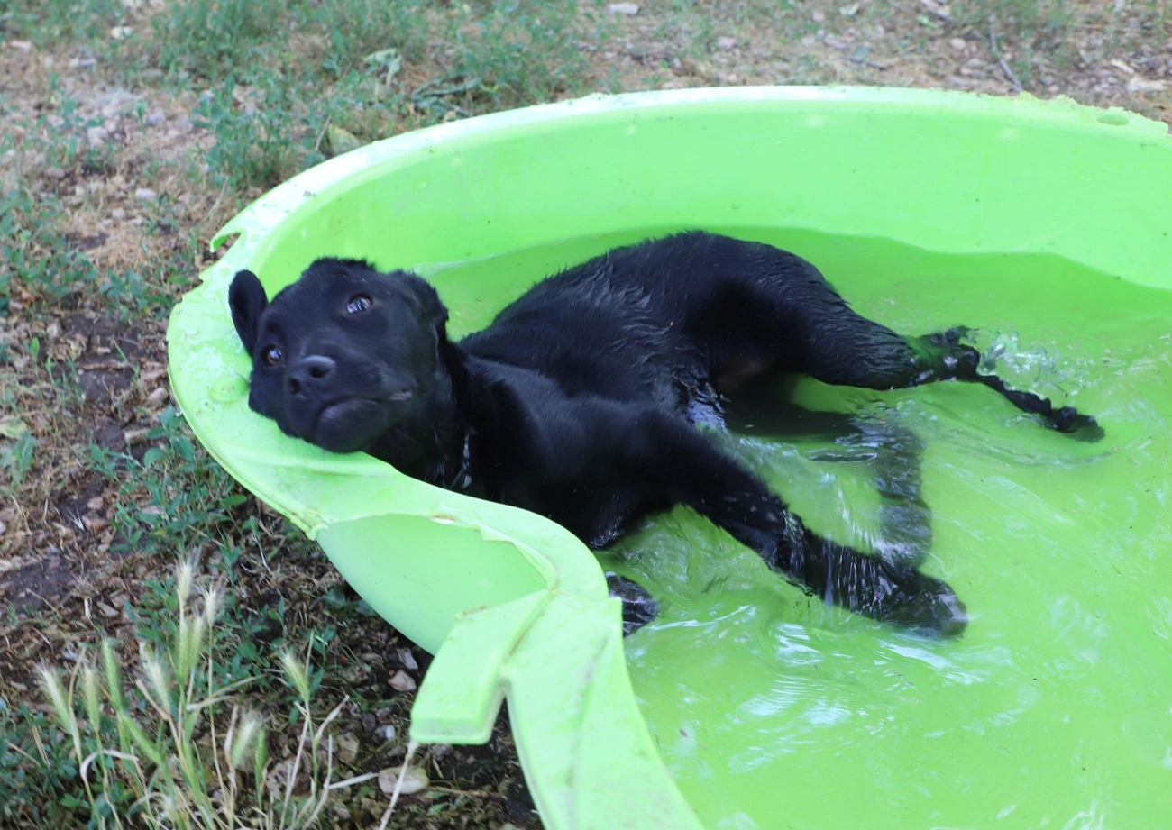 kisallatok_hoseg_250626ml-14.JPG kisallatok_hoseg_250626ml-14.JPG