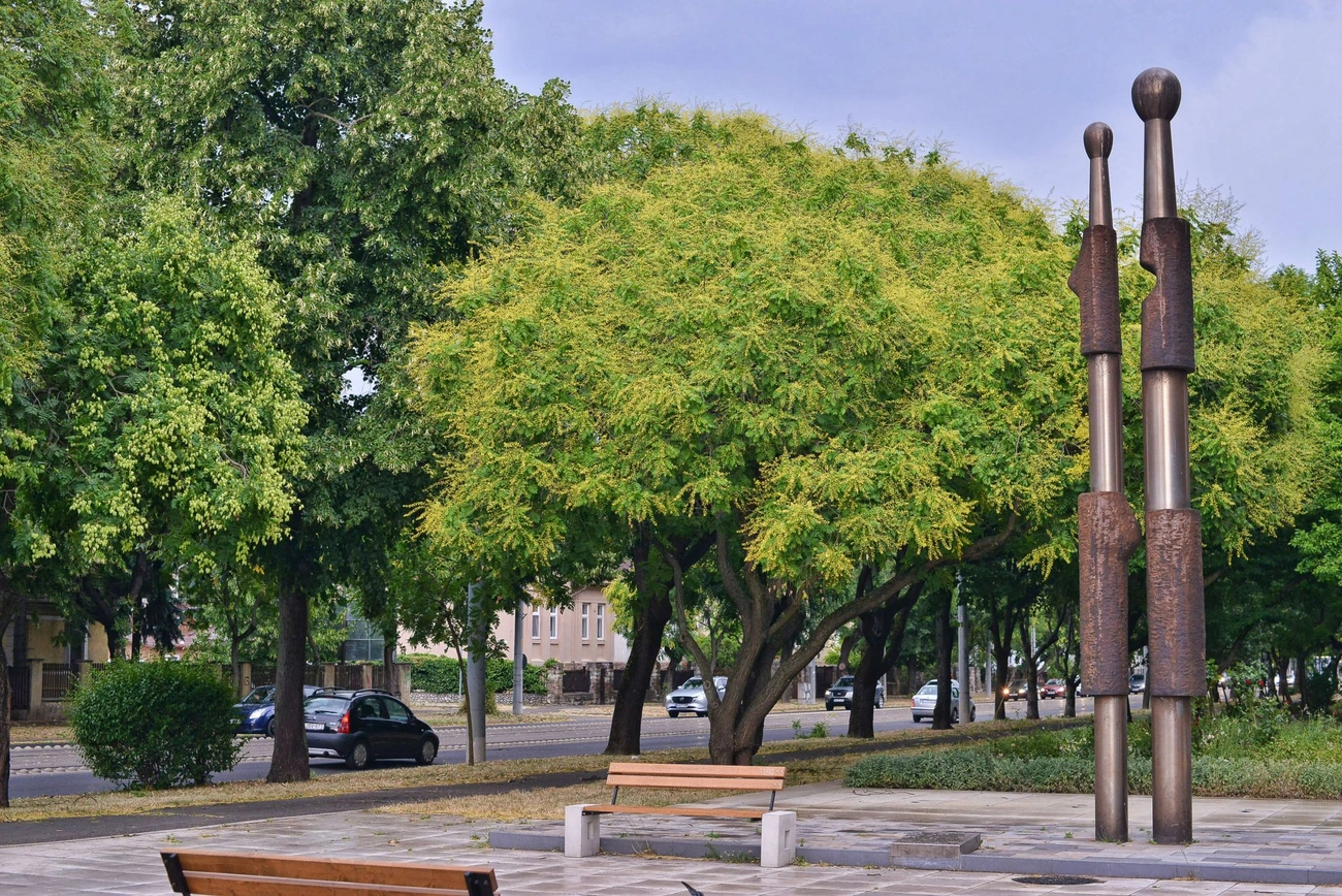 gyori_kapu_szokokut_20250707-ot_01.jpg