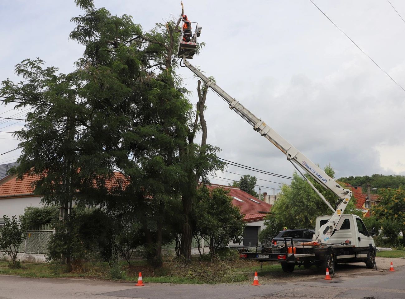 arosgazda_fa-munkacsoport_250717ml-10.JPG (554.09 KB)