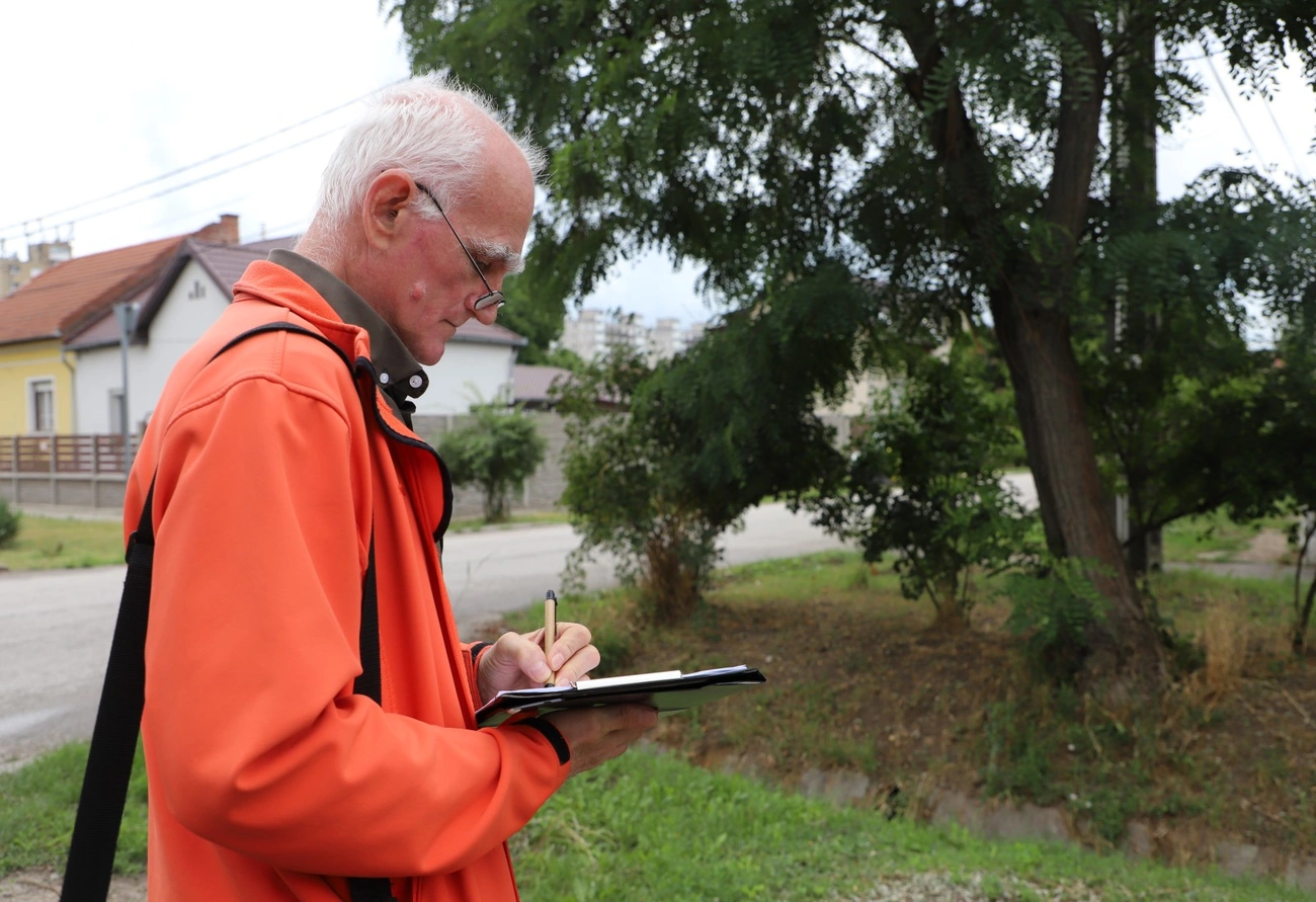 rre: varosgazda_fa-munkacsoport_250717ml-8.JPG