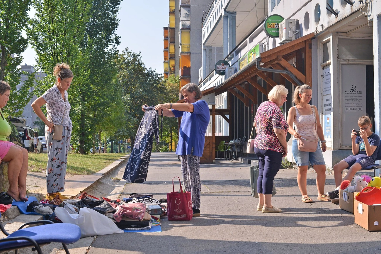 e: avasi_bolhapiac_20250816-ot_09.jpg