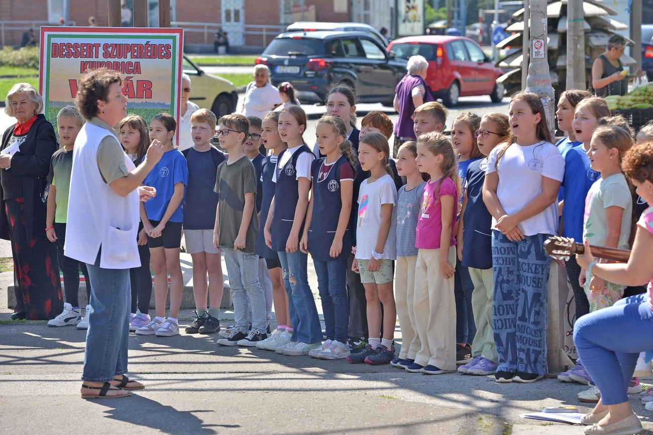 Ars Sacra - Szent Imre flashmob