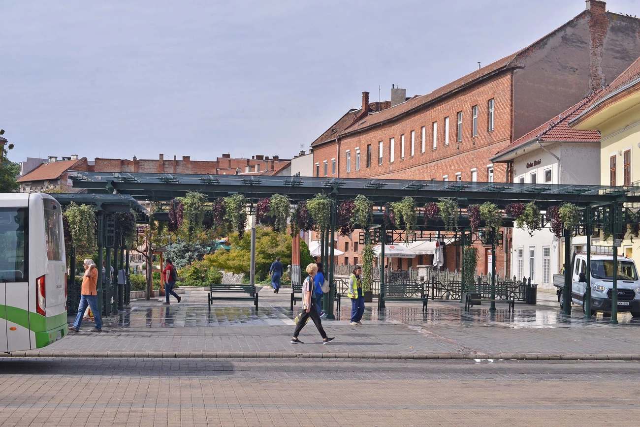 szinva_terasz_takaritas_20250923-ot_13.jpg szinva_terasz_takaritas_20250923-ot_13.jpg