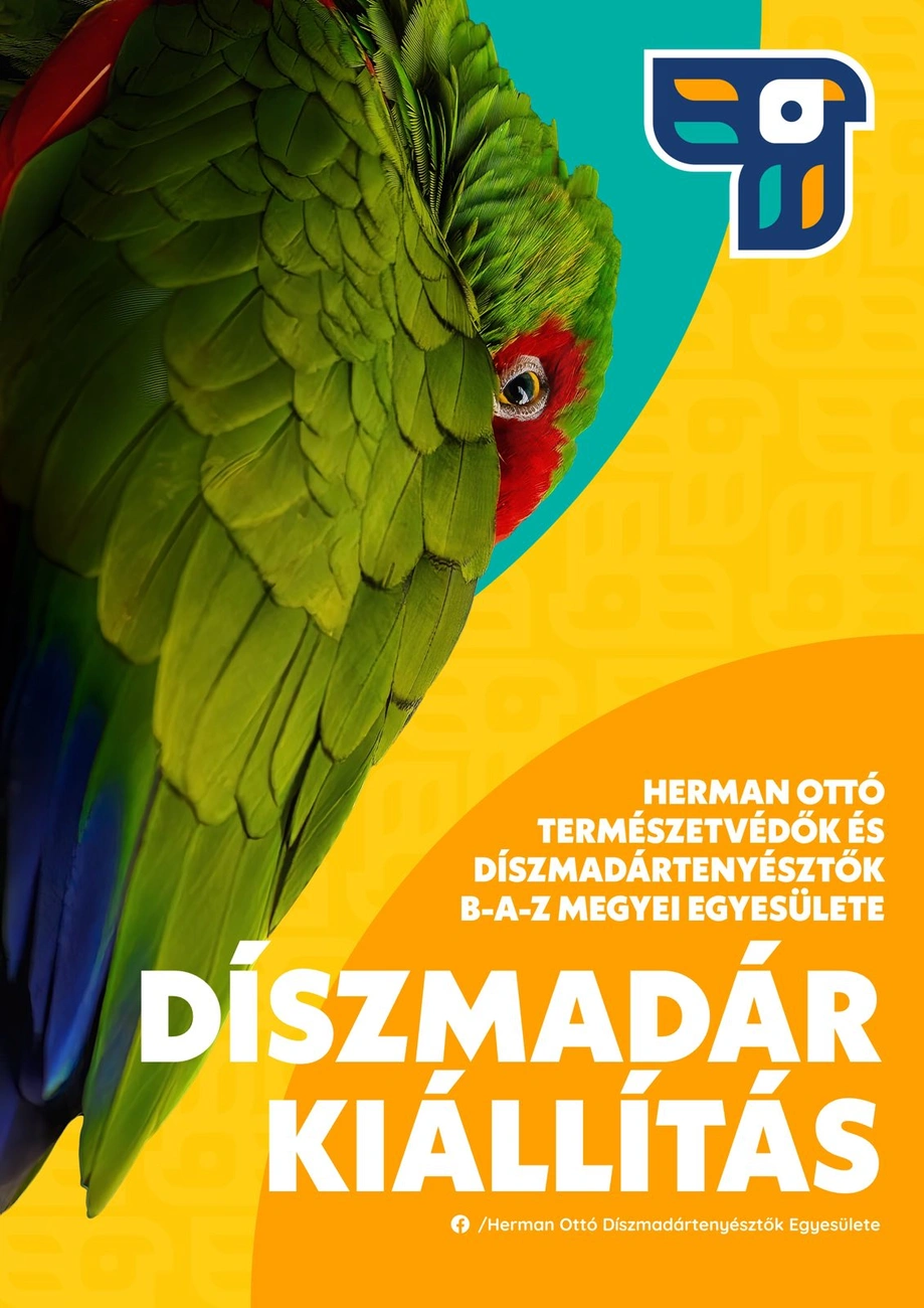 madarkiallitas_plakat1.jpg