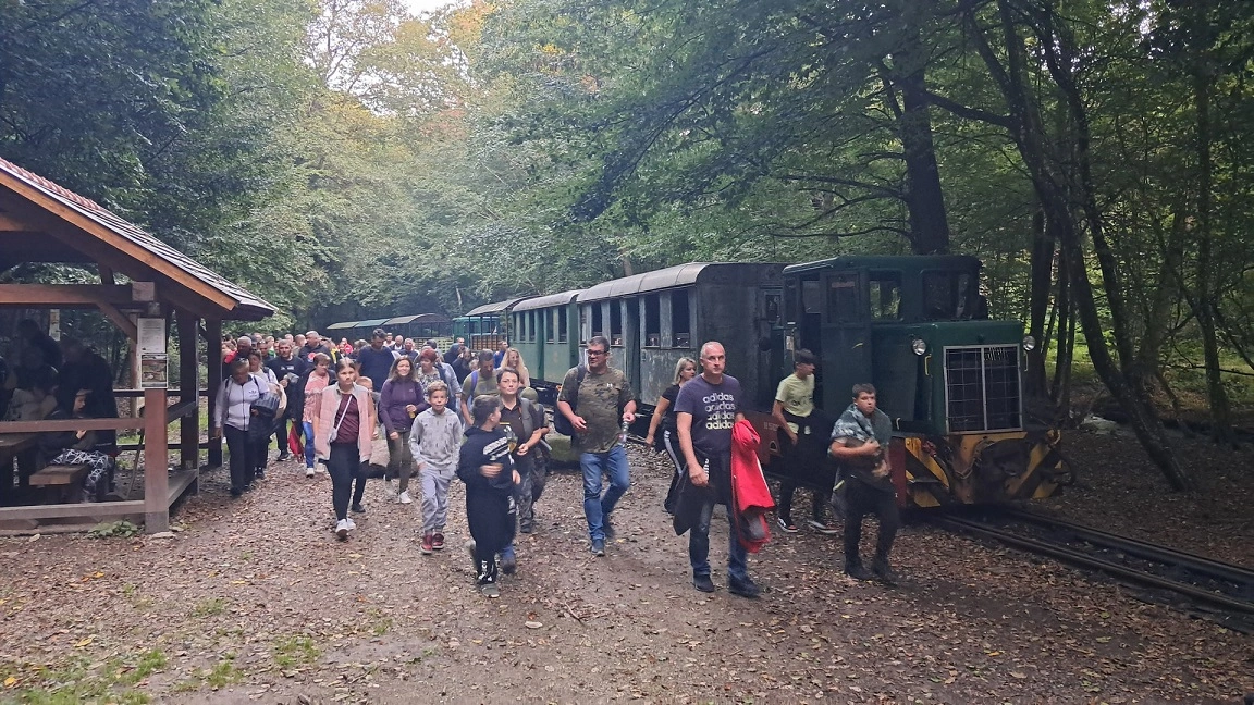 szarvasbőgés