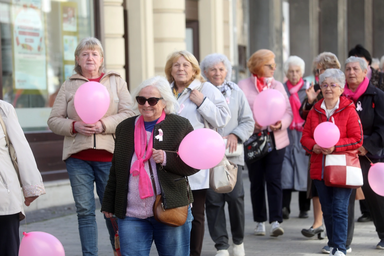 rozsaszin_szalagos_seta_251004_ja-13.JPG