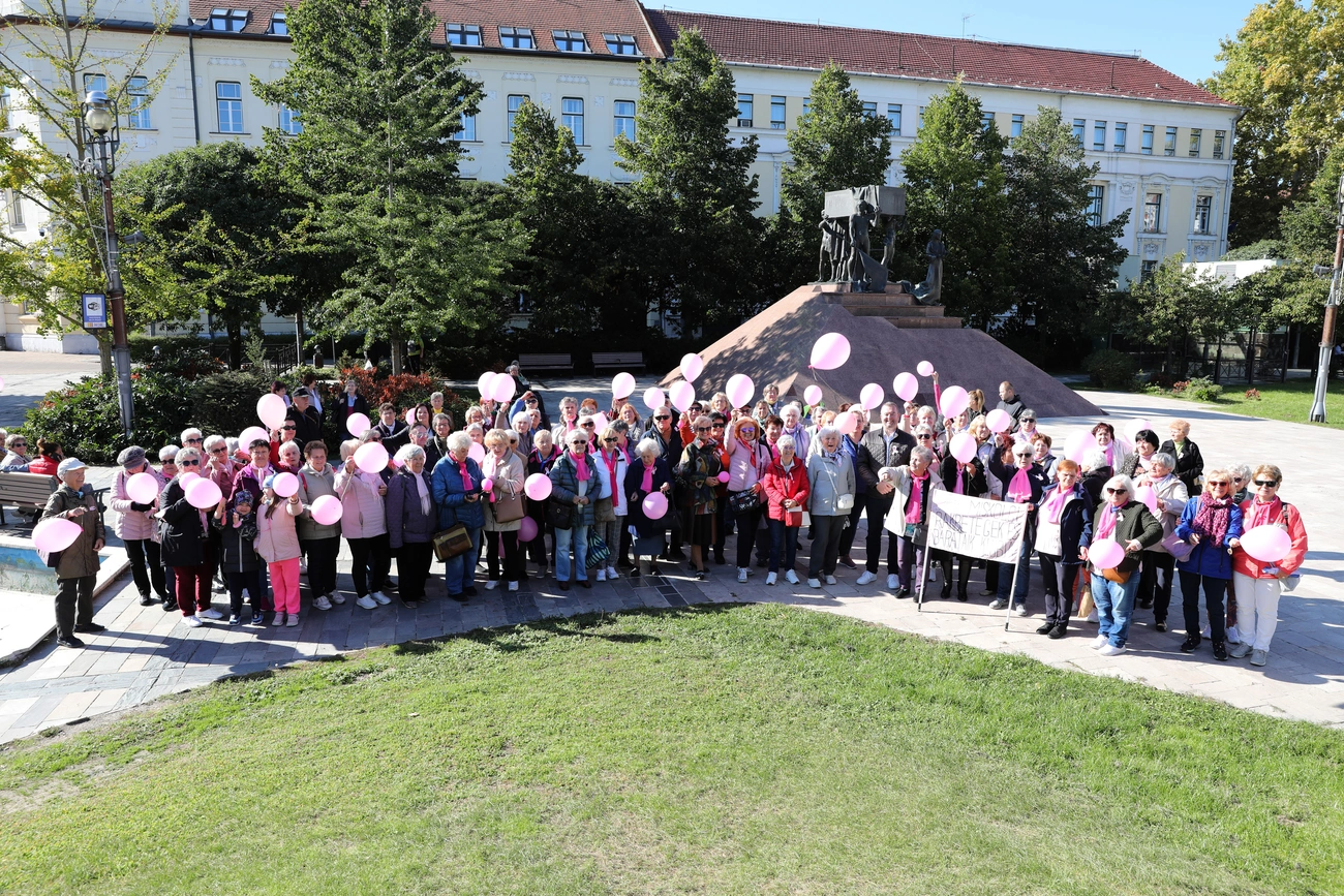 rozsaszin_szalagos_seta_251004_ja-17.JPG