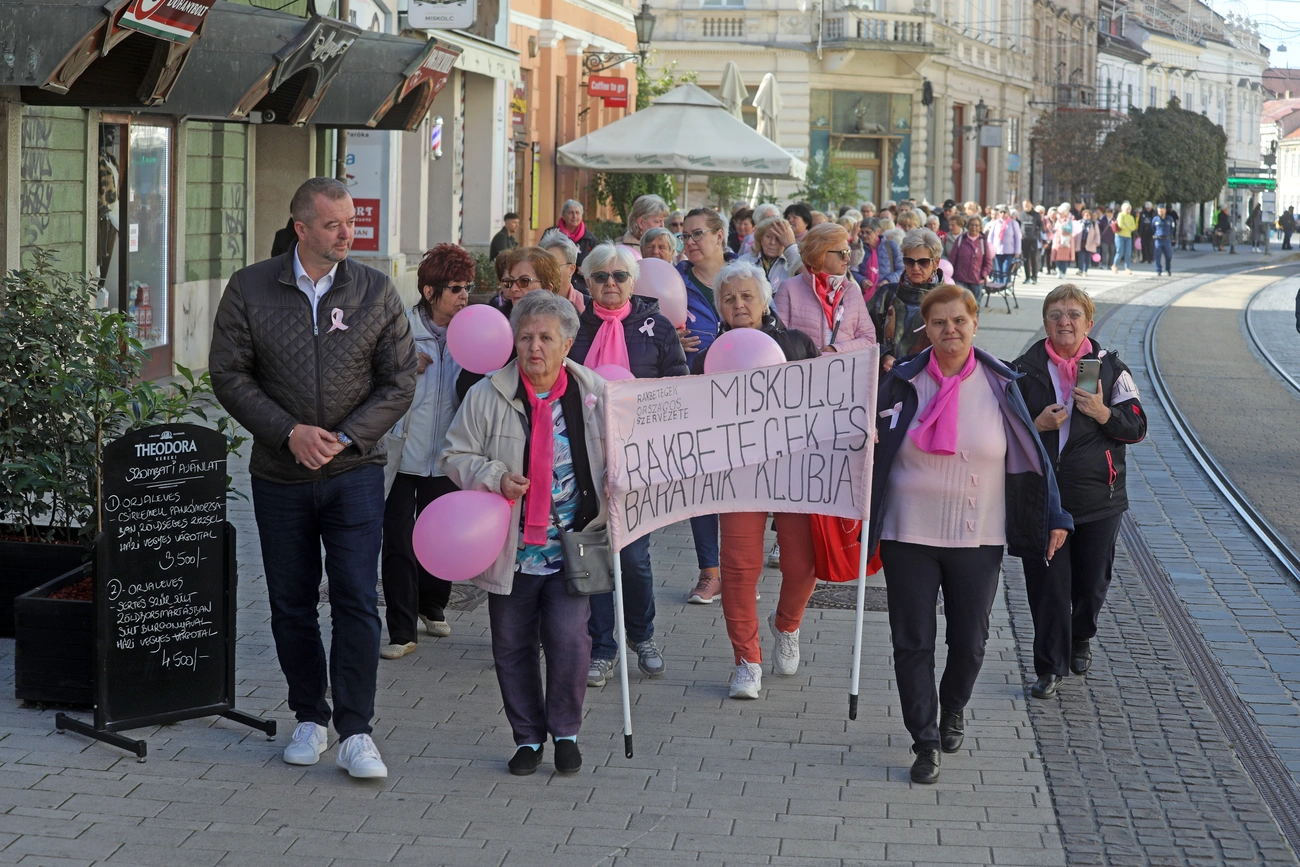 rozsaszin_szalagos_seta_251004_ja-9.JPG