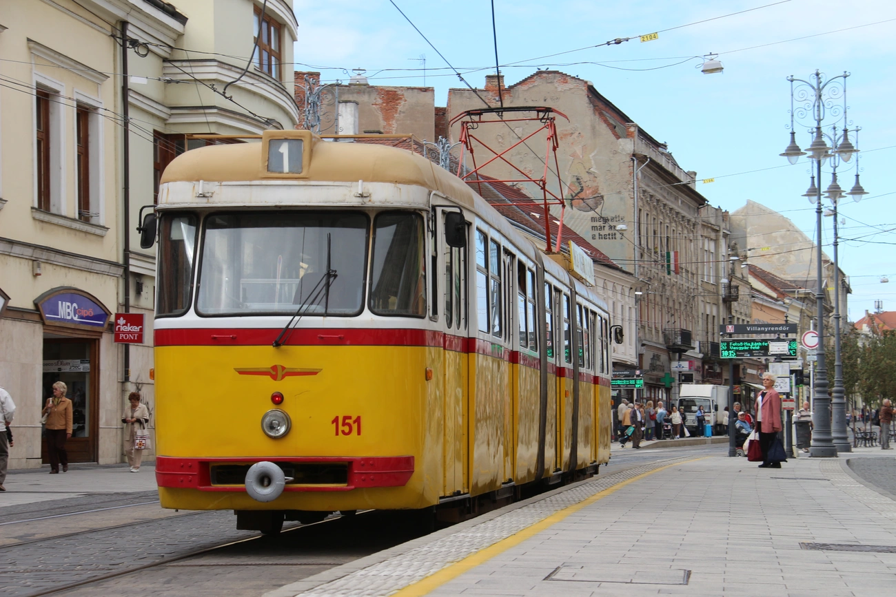 A legendás Bengáli Miskolcon