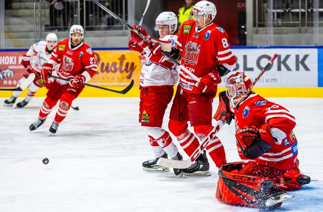 gyergyoi_hk-dvtk_jegesmedvek_friss_1120.jpg (160.94 KB)