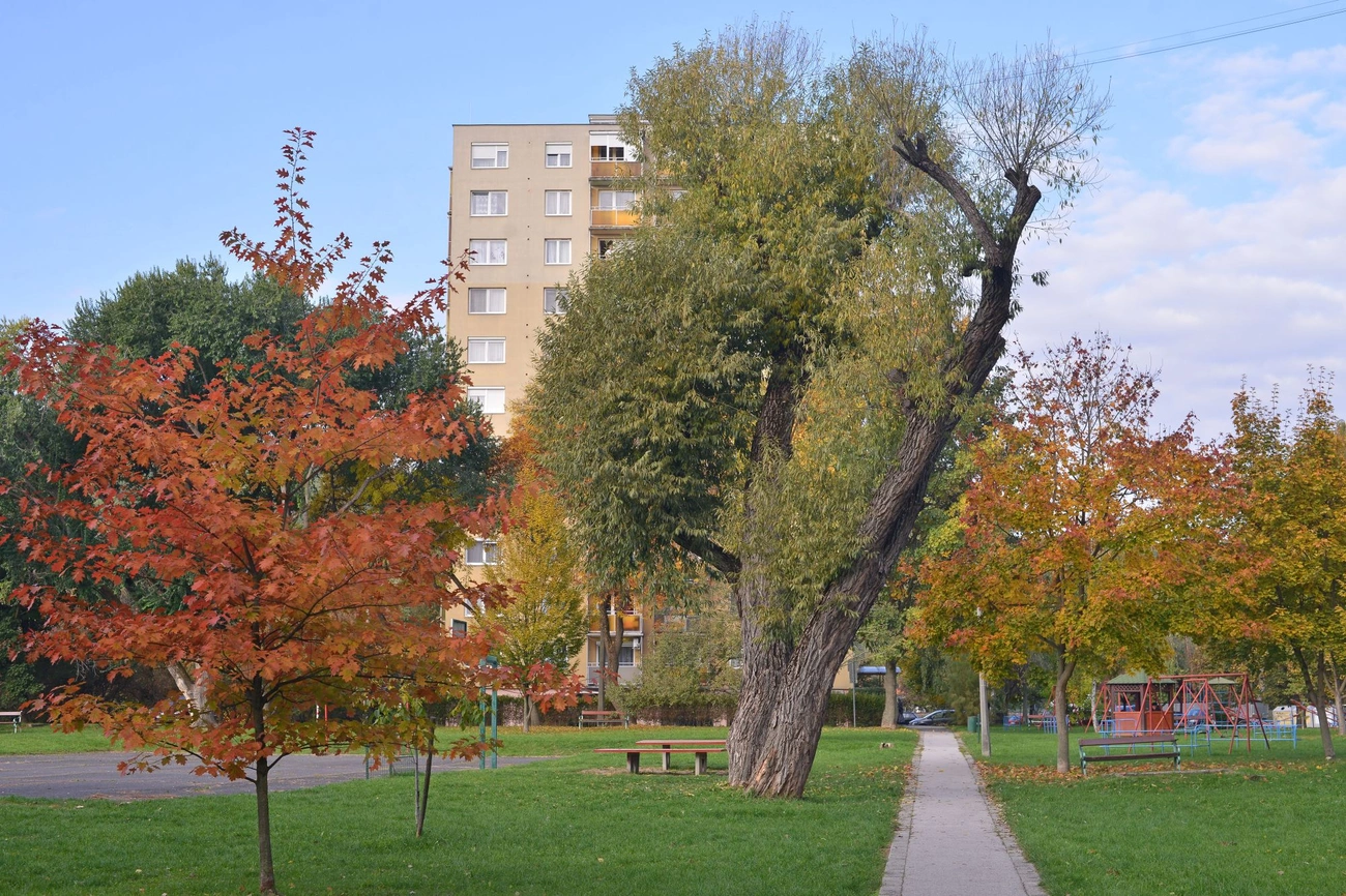 minap_indito_20251017-ot_01.jpg