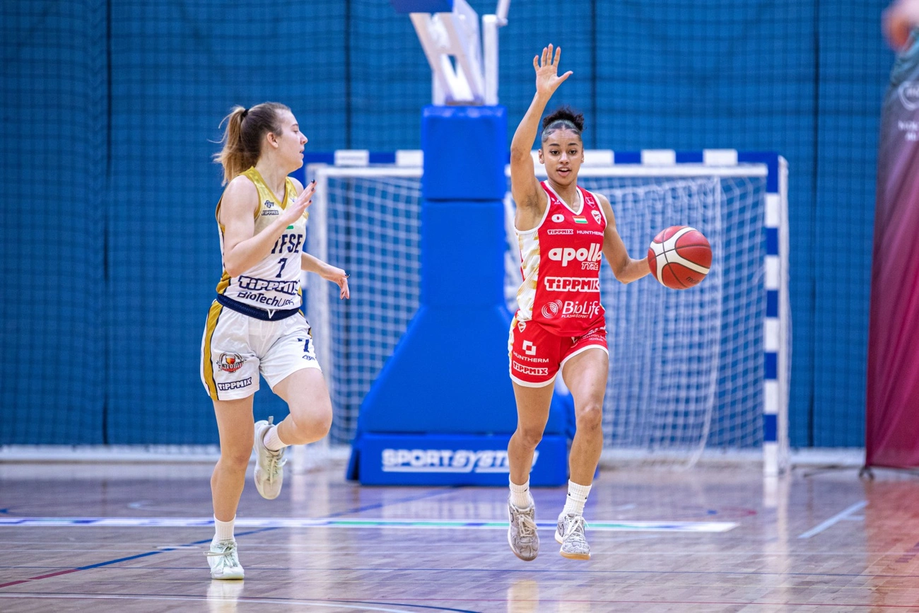 TFSE - DVTK HunTherm