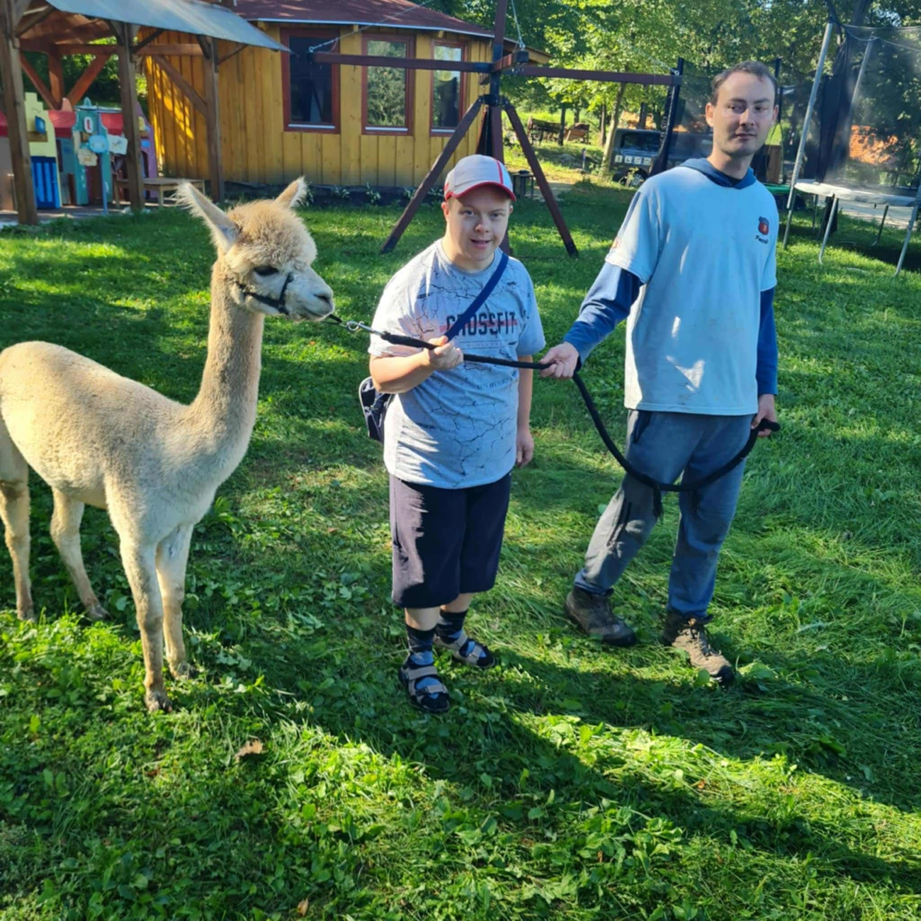 alpaka Szimbiózis Alapítvány Baráthegyi Majorsága