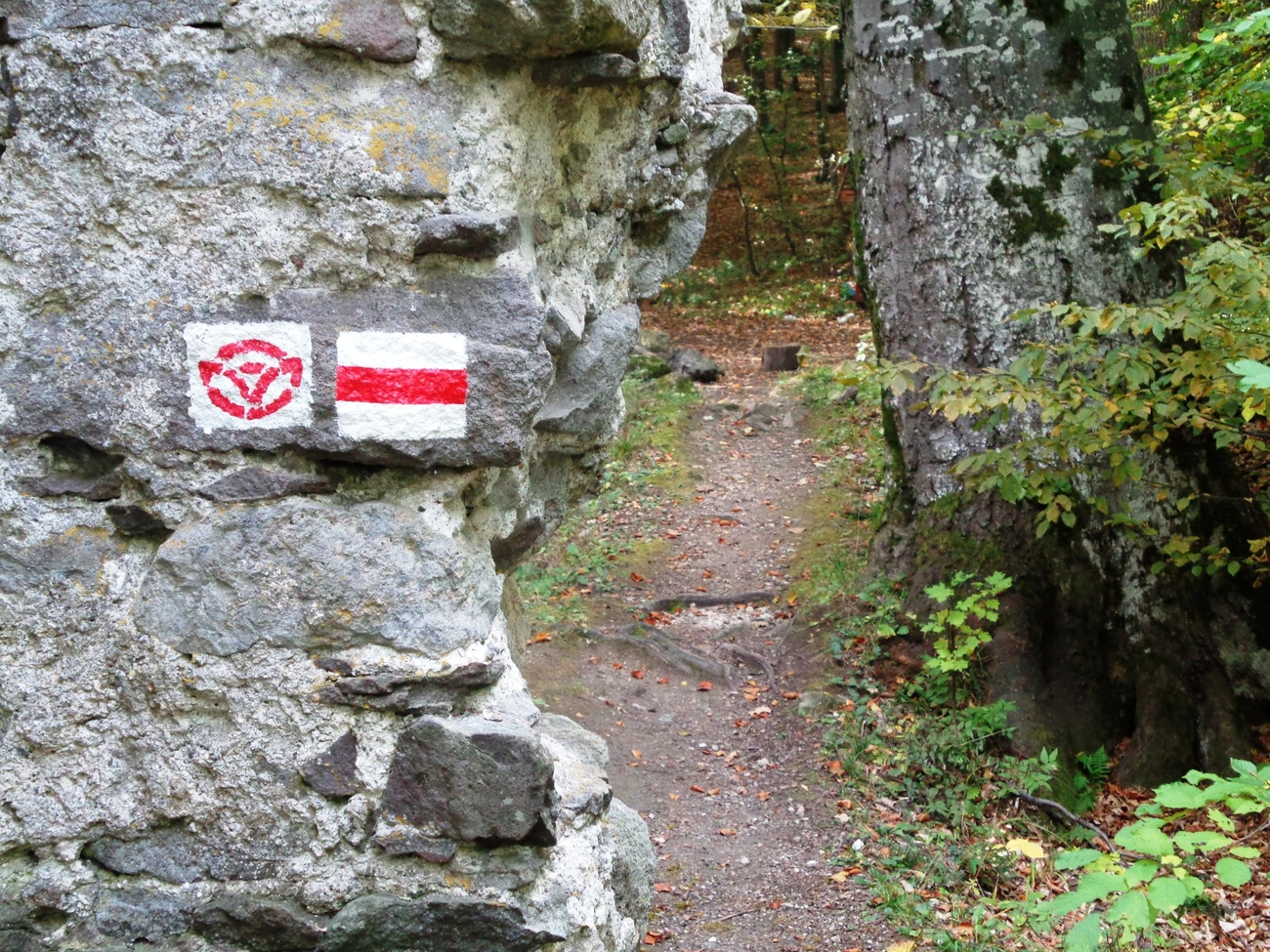 Szent Erzsébet zarándokút, Gönci Pálos Kolostorrom, Fotó: DA