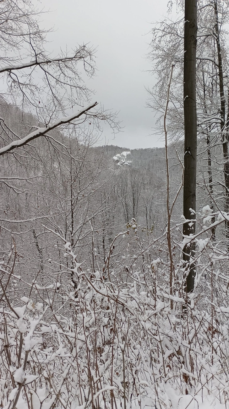 Az első hó 2025 november 22. Fotó: MVSC Természetjáró Szakosztály